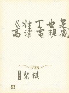 《壮丁也是兵》高清电视剧免费观看