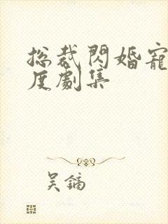 总裁闪婚宠妻无度剧集