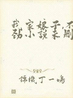 我家娘子,不对劲小说未删版下载txt封面