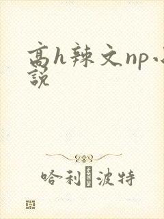 高h辣文np小说