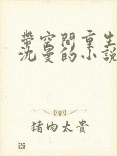 带空间重生荒年沈曼的小说