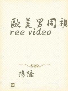 欧美男同视频free video