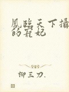 凤临天下摄政王的宠妃