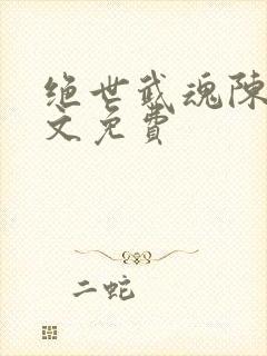 绝世武魂陈枫全文免费