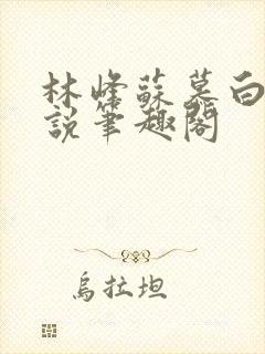 林峰苏慕白的小说笔趣阁