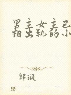 男主女主已婚互相出轨的小说