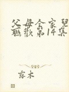 父母全家儿女大联欢第14集封面