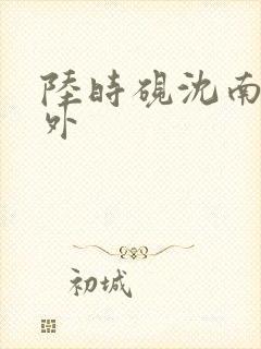 陆时砚沈南初番外