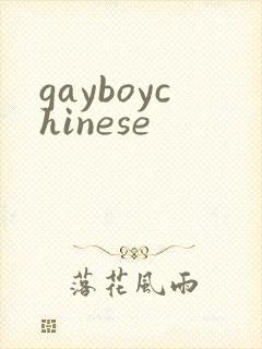 gayboychinese