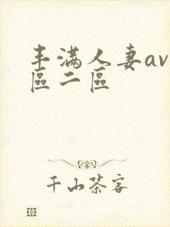 丰满人妻av一区二区