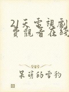 21天电视剧免费观看在线播放封面