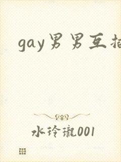 gay男男互插