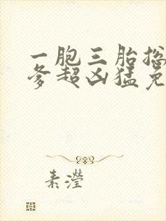 一胞三胎总裁爹爹超凶猛免费阅读