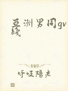 亚洲男同gv在线