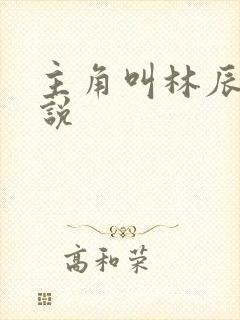 主角叫林辰的小说