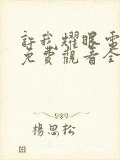 许我耀眼电视剧免费观看全部15集