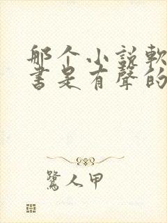 那个小说软件听书是有声的