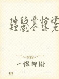 他的爱恰逢其时短剧全集免费观看