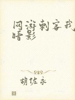 网游刺客我即是暗影封面