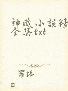 神藏小说精校版全集txt