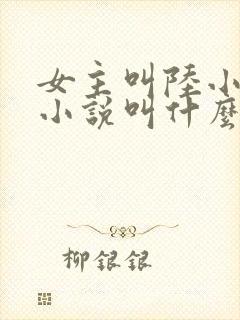 女主叫陆小小的小说叫什么名字