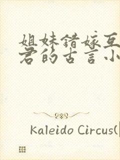 姐妹错嫁互换夫君的古言小说封面