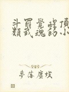 斗罗觉醒顶级剑类武魂的小说