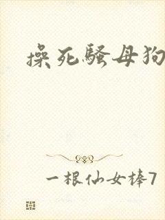操死骚母狗