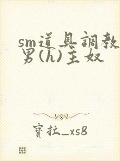 sm道具调教男男(h)主奴