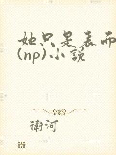 她只是表面清纯(np)小说