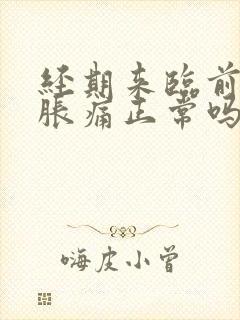 经期来临前乳房胀痛正常吗