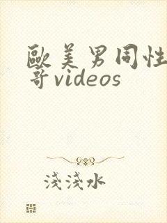 欧美男同性恋帅哥videos