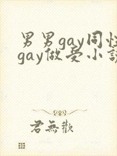 男男gay同性gay做受小说