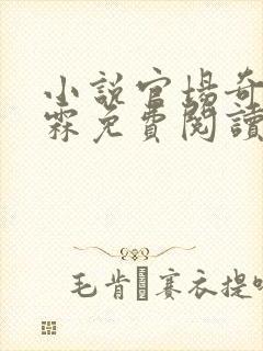 小说官场奇才李霖免费阅读