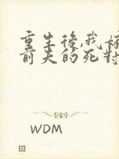 重生后,我嫁给前夫的死对头 短剧