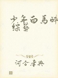 少年白马醉春风 综艺封面