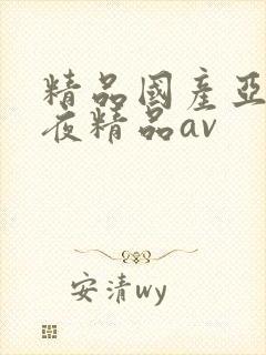 精品国产亚洲午夜精品av