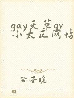 gay天草gv小太正网站封面