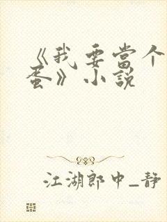 《我要当个大坏蛋》小说