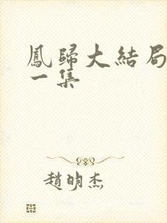 凤归大结局最后一集