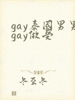 gay泰国男男gay做受