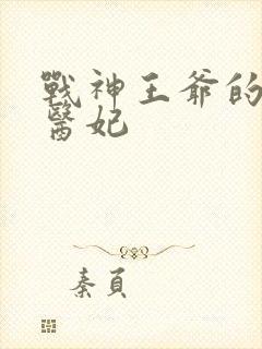 战神王爷的替嫁医妃