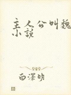 主人公叫魏云的小说