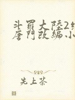 斗罗大陆2绝世唐门改编小说封面