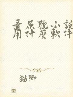 看原耽小说免费用什么软件