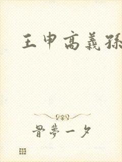 王申高义孙倩封面