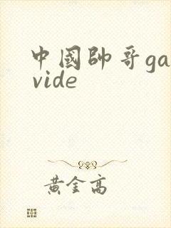 中国帅哥gay vide