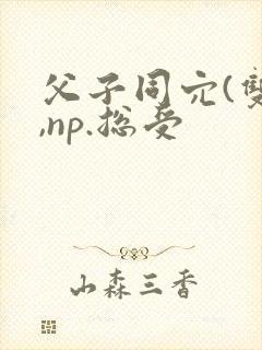 父子同穴(双性,np.总受