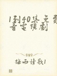 1到40集免费看电视剧封面
