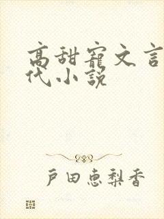 高甜宠文言情现代小说封面